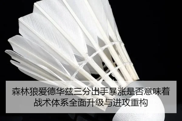 森林狼爱德华兹三分出手暴涨是否意味着战术体系全面升级与进攻重构